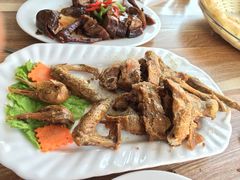 天羽烤乳鸽店-天羽烤乳鸽店(财大家属院店)