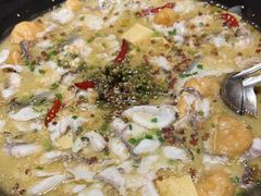 -三天打鱼(奥体店)