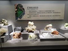 -湖南省地质博物馆