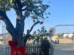 -长洲岛都市农业公园