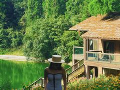 -武陵山森林公园
