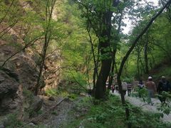 -北京上方山国家森林公园