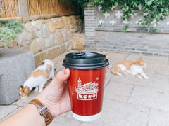 -龙华素斋(龙华路店)