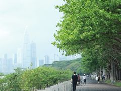 -深圳湾公园(南山区)