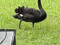 -福建鲤鱼洲酒店