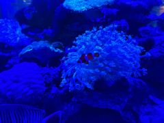 -上和臻品中国菜(花园街店)