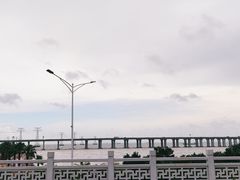 -宝安西湾红树林湿地公园