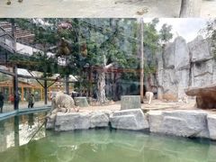 -灵玲国际马戏城
