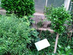 -石家庄市植物园
