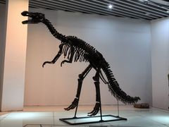 -烟台自然博物馆