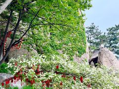 -崂山仰口游览区