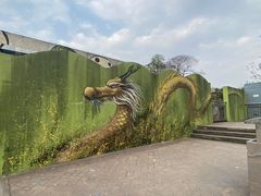 -黄桷坪涂鸦艺术街