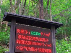 -姑婆山旅游区