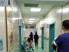 -北京观赏动物医院·24小时大型综合·猫专科·异宠专科