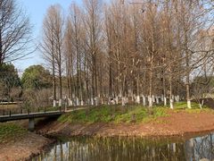 -阳澄湖半岛旅游度假区