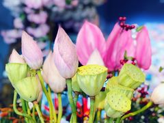 -Flower in(密渡桥店)