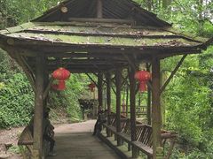 -青城山