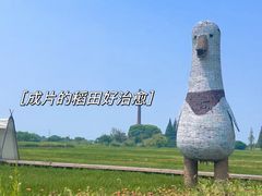 -锦溪古镇