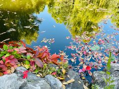 -三忘湖 SWANSEEN(柳荫公园店)