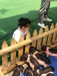 -萌宠亲子动物乐园(槐房万达店)