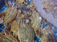 -77号渔船·蒸海鲜青岛菜(积米崖店)