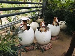 -呀路古热带植物园