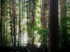 2011_11_27_11_59_46-旅马餐厅(茅家埠店)