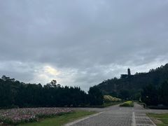 -南沙蒲洲花园