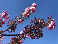 -朝阳公园
