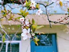 -山东师范大学(千佛山校区)