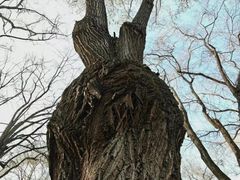 -裕华世纪公园