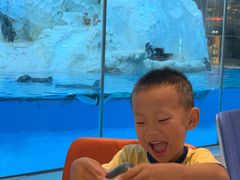 -帝企鹅自助餐厅•儿童岛•真企鹅(长隆企鹅酒店)