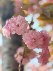 -馨月汇·一悦馨香月子中心(前滩店)