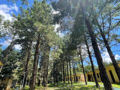-海南热带雨林国家公园吊罗山景区