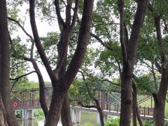 -同里国家湿地公园