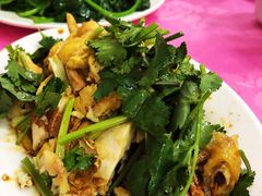 白切鸡（例牌）-电白鸭粥店(下沙二坊88号店)