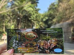 -西双版纳原始森林公园