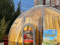 -羊门客在·烤盐池滩羊·川菜