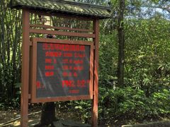 -大屏嶂森林公园