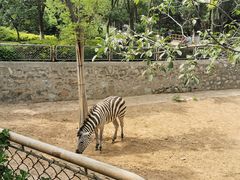 -石家庄市动物园