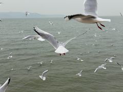 -苏州吴中太湖旅游区