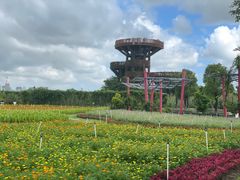 -芒洲湿地公园