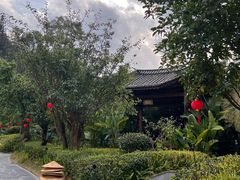 -腾冲洞山温泉村