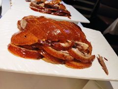 -宏宴·新京菜(望京店)