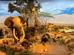 -陕西自然博物馆