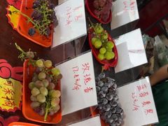 -马陆小张葡萄园农家乐