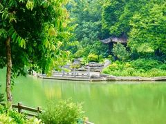 -广州市帽峰山景区