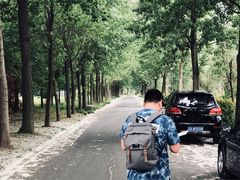 -东南大学(九龙湖校区)