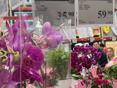 -山姆会员商店(上海浦东店)