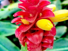 -北京植物园-展览温室